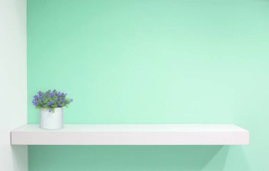 Yeşil antika arka plan üzerinde perakende raf. dolgu nesneleri.