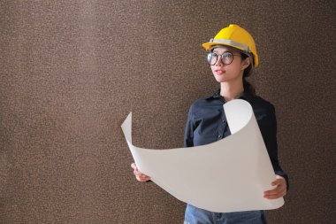 Planı üzerinde adam tutarak iş kadın mühendis geliştirici