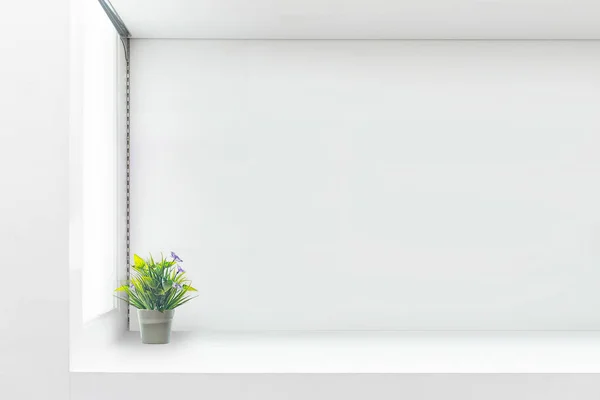 Estante blanco contra pared blanca con planta verde. espacio de copia —  Fotos de Stock