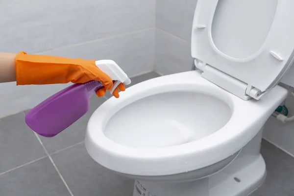 Hands Women Wiping Clean Toilet Seat — Stock Photo, Image