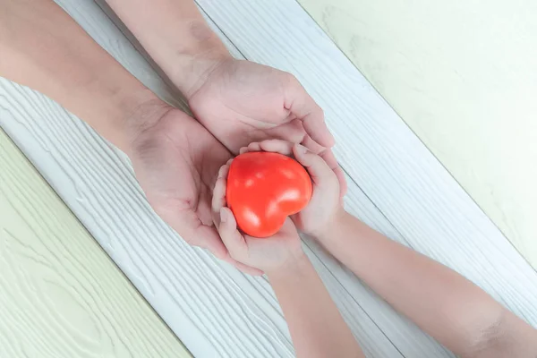 Red heart in hands of Father and son. Love and health care.