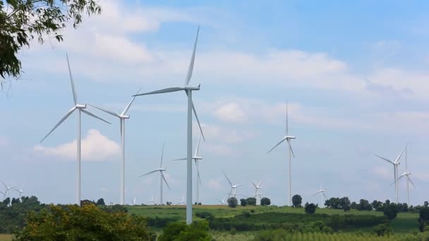 Éco Énergie Éolienne Sur Parc Éolien — Video