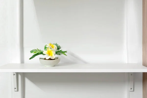 Interior Sala Estar Com Bela Planta Diferentes Vasos Design Prateleira — Fotografia de Stock