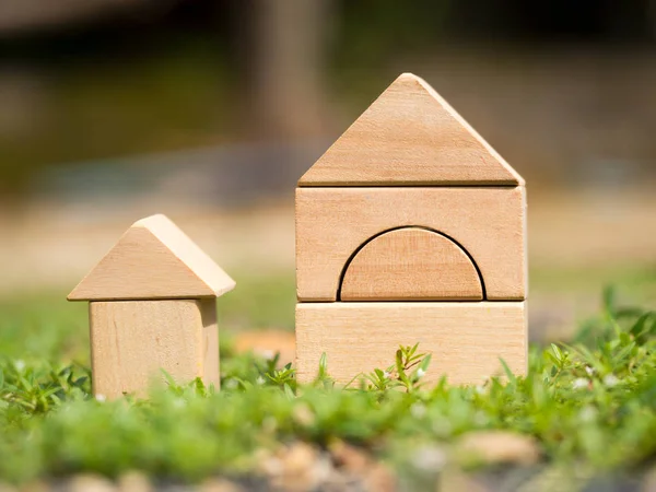Big Wooden Home Small Wooden Home Grass Home Loan Building — ストック写真