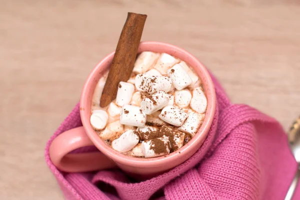 Heißer Kakao mit Marshmallows mit Gewürzen — Stockfoto