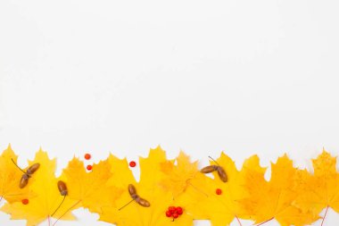 Sarı yapraklar, çilek ve meşe palamutları metin için yer ile beyaz bir arka plan üzerinde.