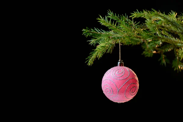 Noel dekorasyonu. Pembe top Noel ağacı dalı. Siyah arka plan.