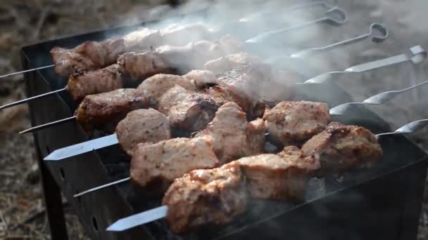 Meat Grill Cooking Shish Kebab Skewers Cooking Pork Meat Hot — Stock Video