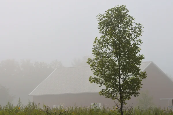 A reggeli köd pajta — Stock Fotó