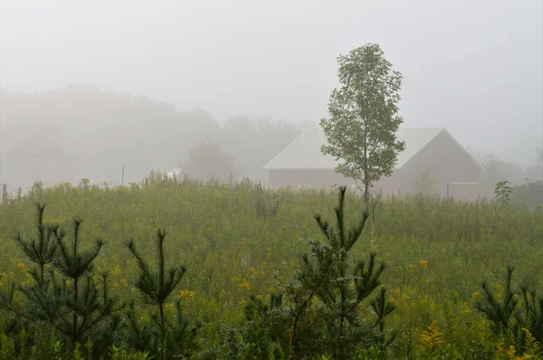 A reggeli köd pajta — Stock Fotó