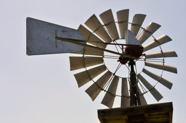 bir rüzgar gülü