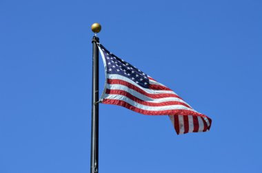 Bir Amerikan bayrağı.