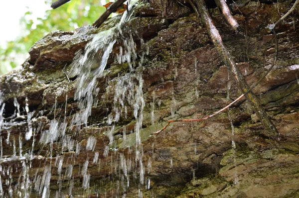 Cachoeira no parque — Fotografia de Stock