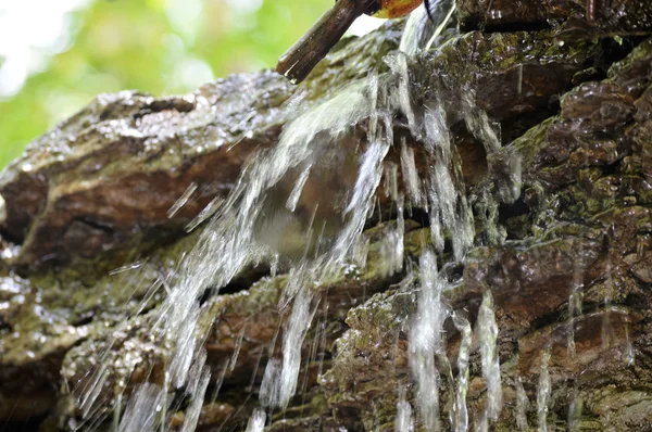 Cascade dans le parc — Photo