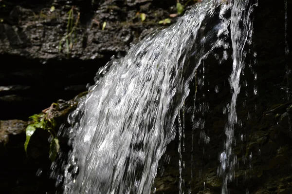 Cachoeira no parque — Fotografia de Stock