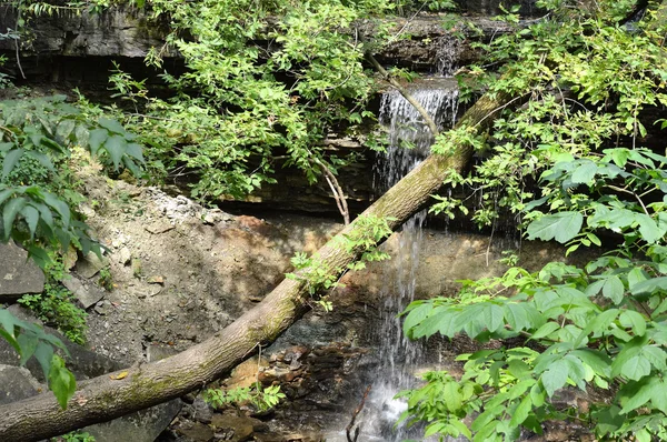 Vattenfall i parken — Stockfoto