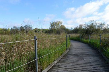 Boardwalk sulak