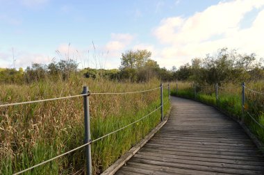 Boardwalk sulak