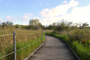 Boardwalk sulak