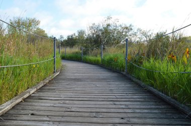 Boardwalk sulak
