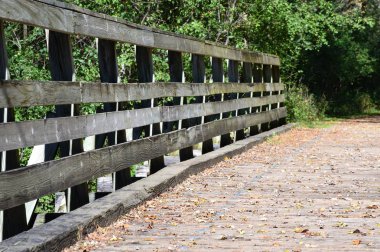 ağaçların arasında köprü