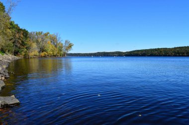 Nehir kıyısındaki