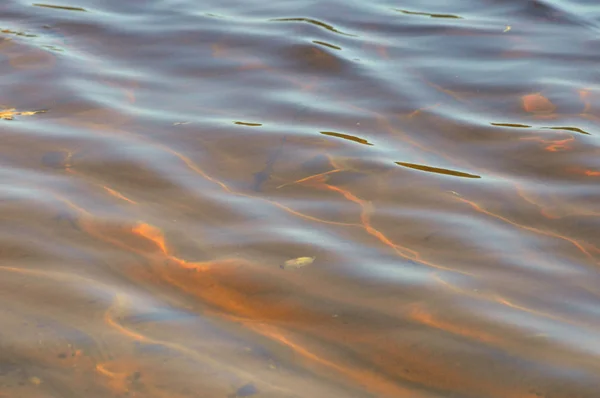 Ondas na água — Fotografia de Stock
