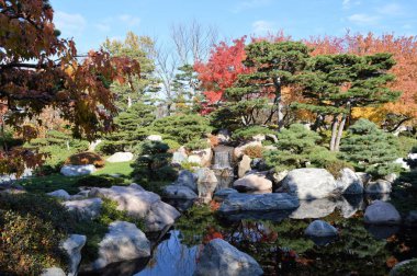 bir Japon bahçesi