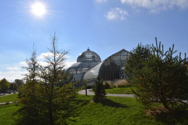 Como Konservatuarı Minnesota