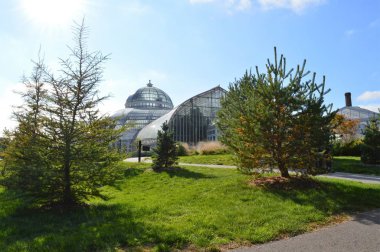 Como Conservaotry Minnesota