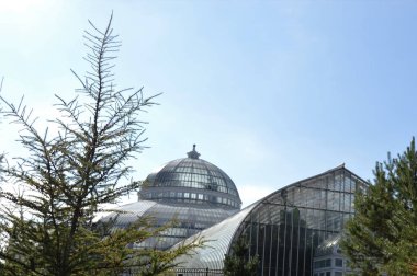 Como Conservaotry Minnesota