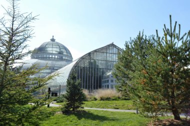 Como Conservaotry Minnesota