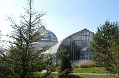 Como Conservaotry Minnesota