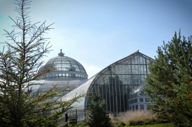 Como Conservaotry Minnesota