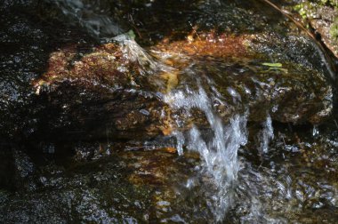 Küçük bir şelale.