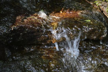 Küçük bir şelale.