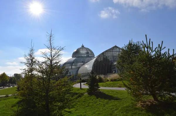 Como Konservatuarı Minnesota