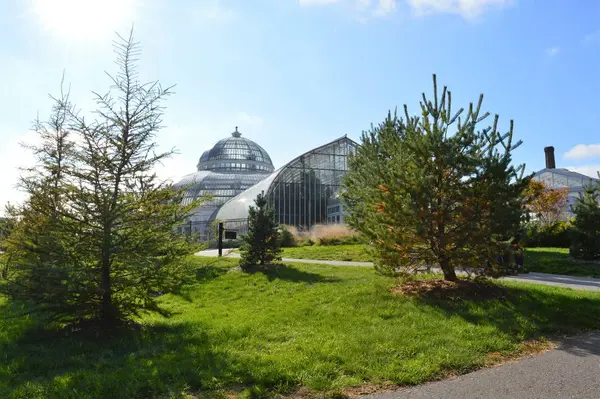 Como Conservaotry Minnesota