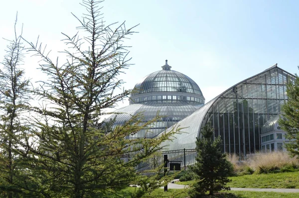 Como Conservaotry Minnesota