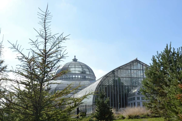 Como Conservaotry Minnesota