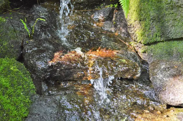 Mały wodospad — Zdjęcie stockowe