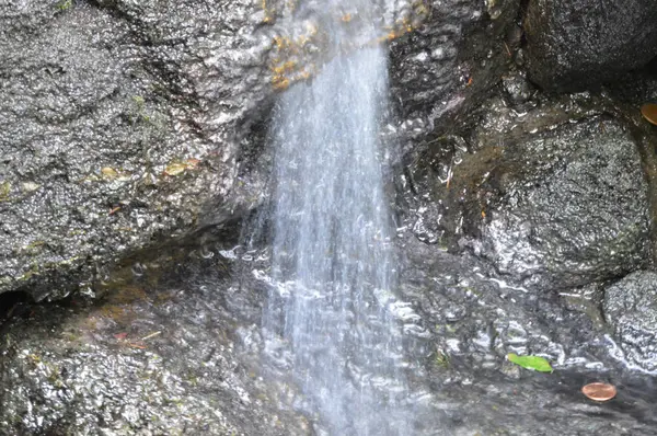 Uma pequena cachoeira — Fotografia de Stock