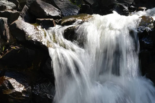 Cascada en el parque —  Fotos de Stock