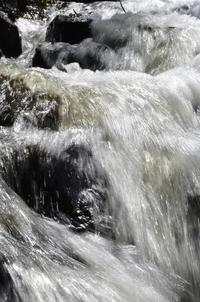 Cascada en el parque —  Fotos de Stock