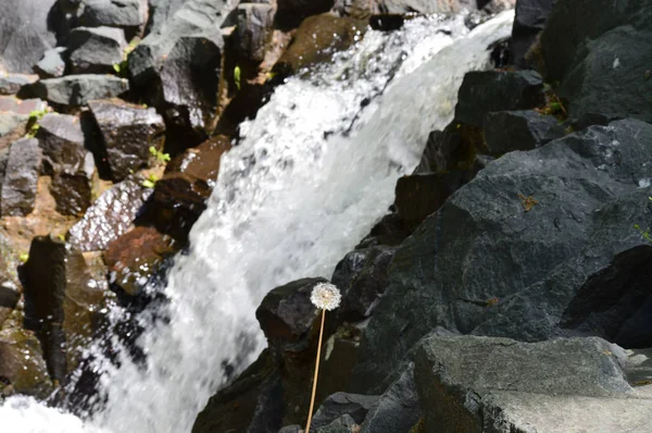 Vattenfall i parken — Stockfoto