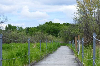 Boardwalk sulak