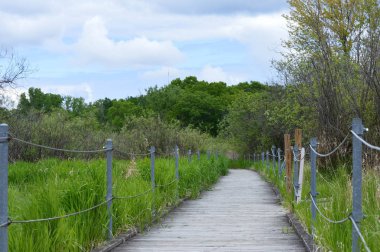 Boardwalk sulak