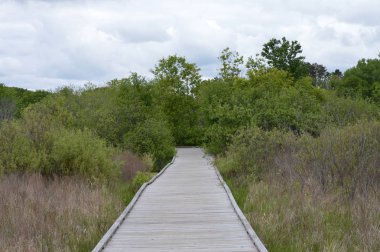 Boardwalk sulak