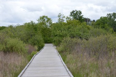 Boardwalk sulak