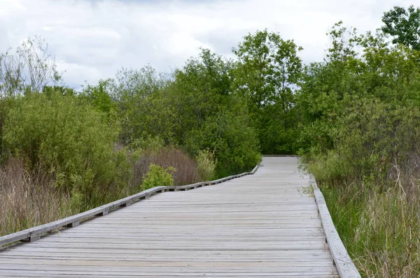 Boardwalk sulak